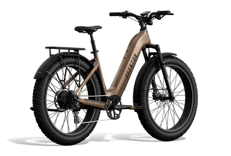 Aventure 3 Step-Through Ebike R Brown-2