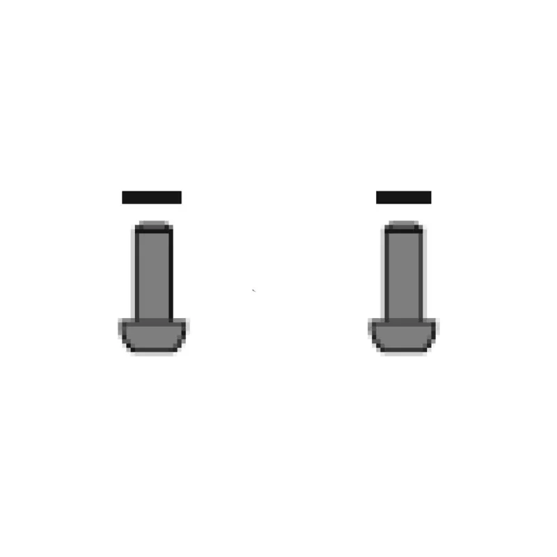 SRAM Titanium Flat Mount Bolt 2-pack - 37mm