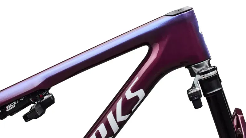 Specialized S-Works Epic 9 Frameset in Bordeaux Metallic-3