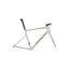 Specialized Tarmac SL8 Road Frameset in Ion/Sea Foam Strata/Rebel Pink