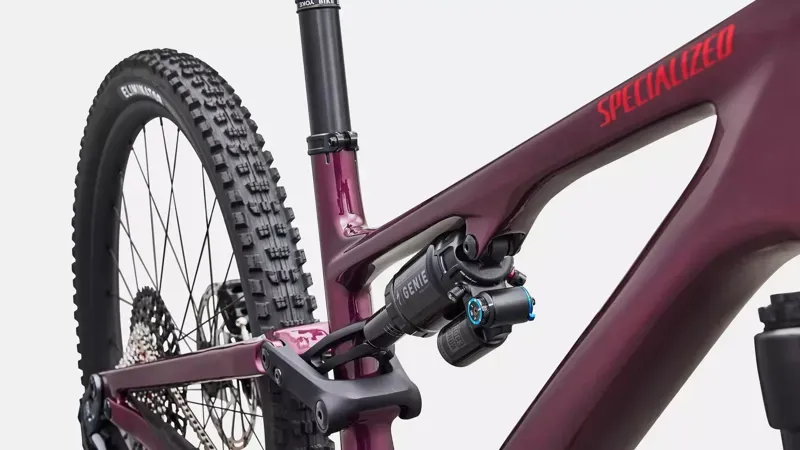 Specialized Stumpjumper 15 EVO Expert Trail Bike in Gloss Bordeaux Metallic-5