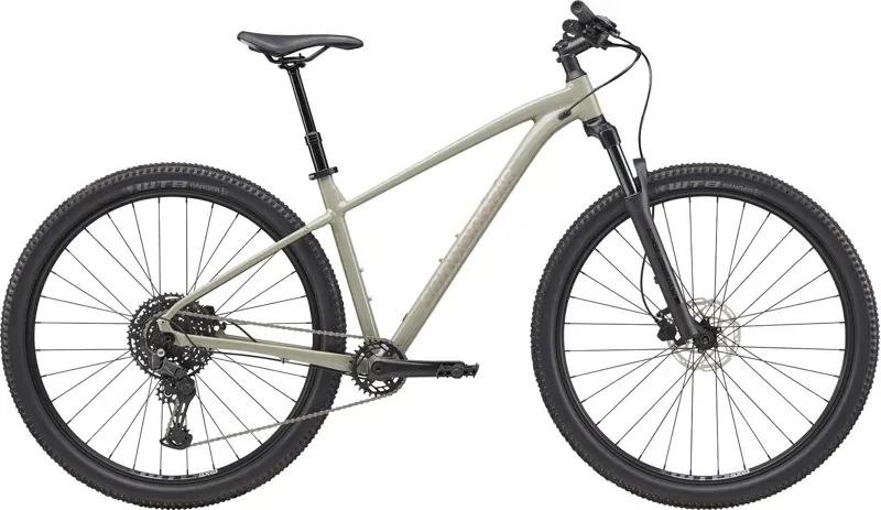 Cannondale Bikes | Chenango Point Bicycle Company