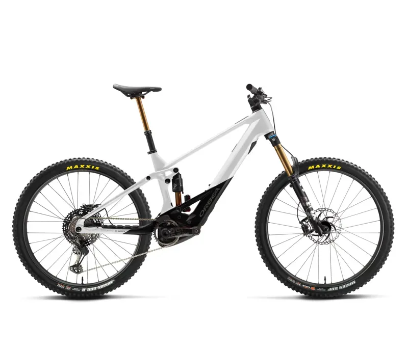 Orbea Wild M10 E-Mountain Bike Custom