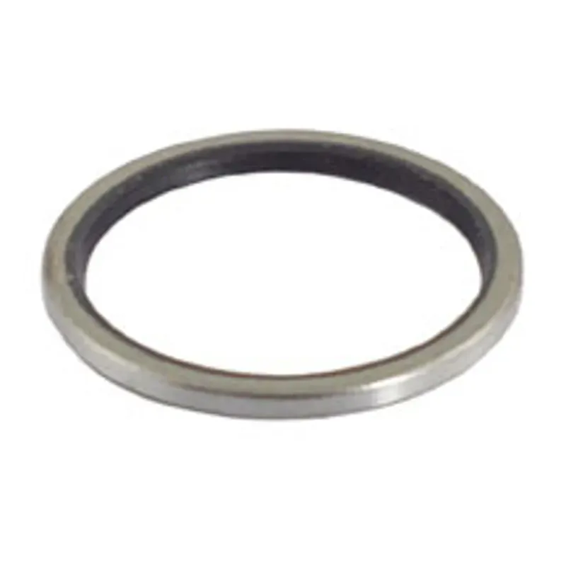 DT Swiss Freehub Seal Ratchet Hubs in Silver