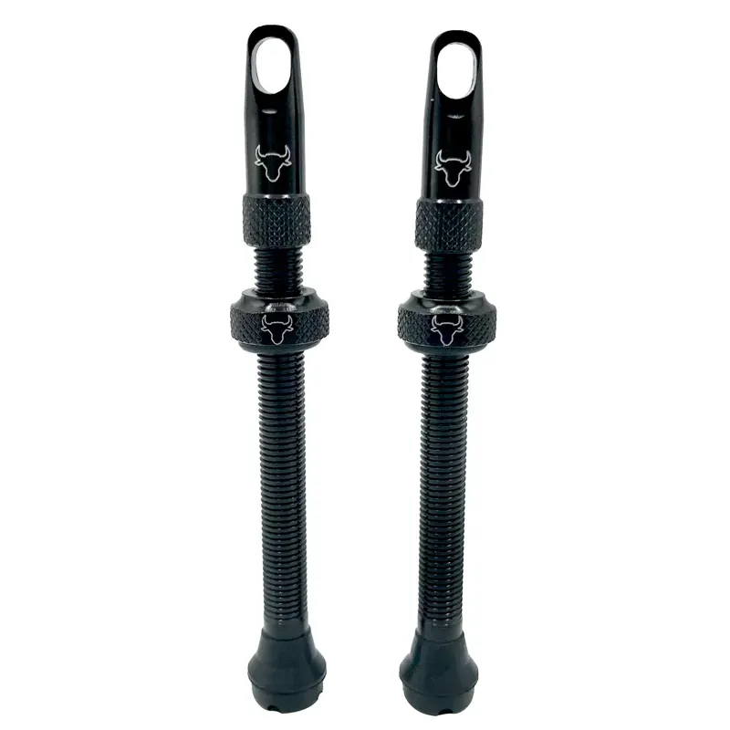 Hold Fast Cycling Tubeless 65mm Valve Stem Pair in Black