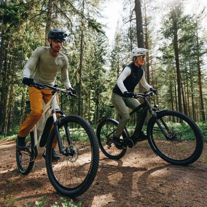 Electric hybrid bike