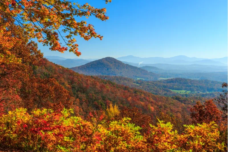 Fall Send - Asheville NC Guided MTB Tour-9