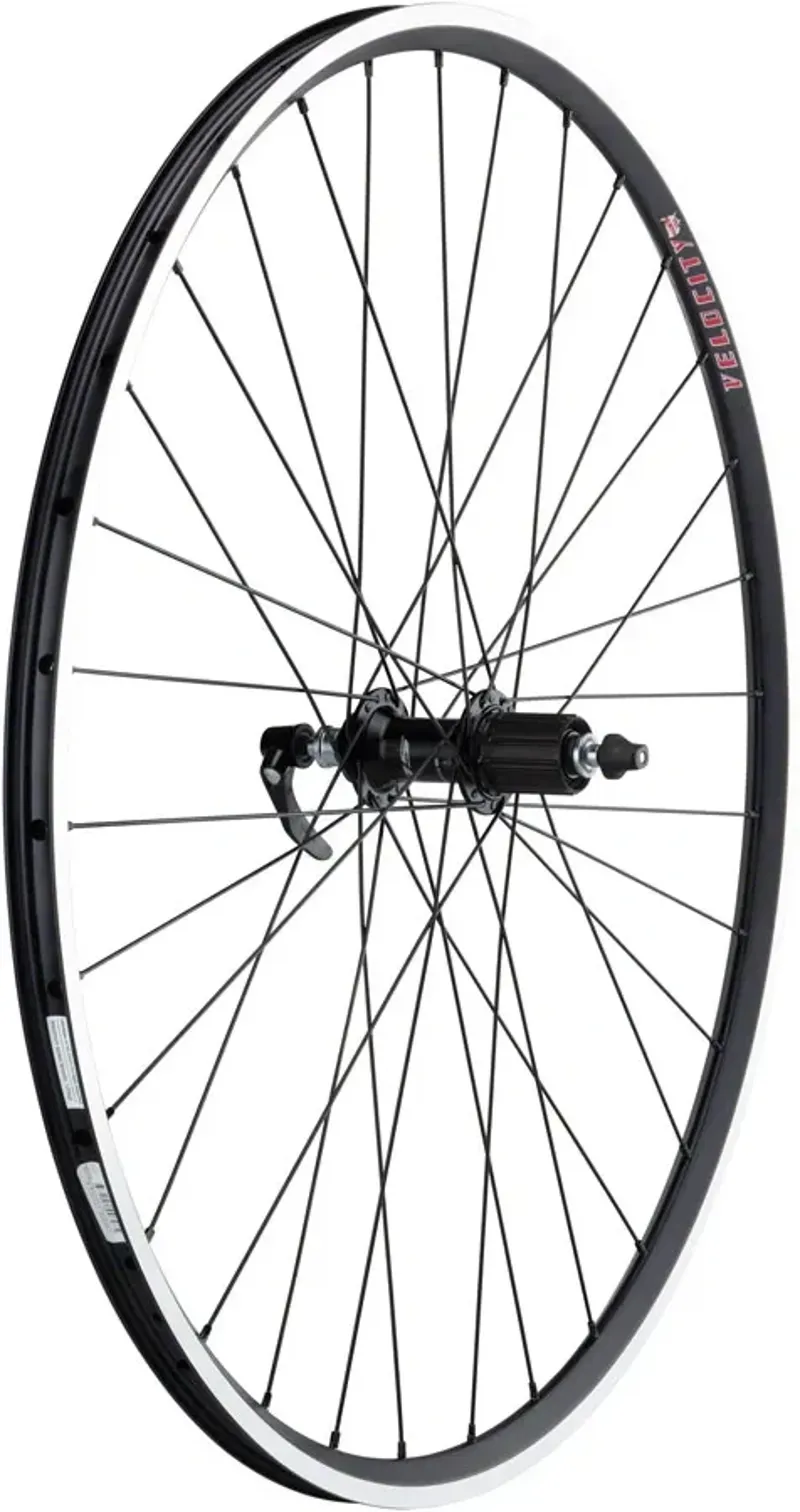Quality Wheels 105/Velocity A23 700c 32-h TLR Cl. 130mm QR RB Rr. Wh.-2