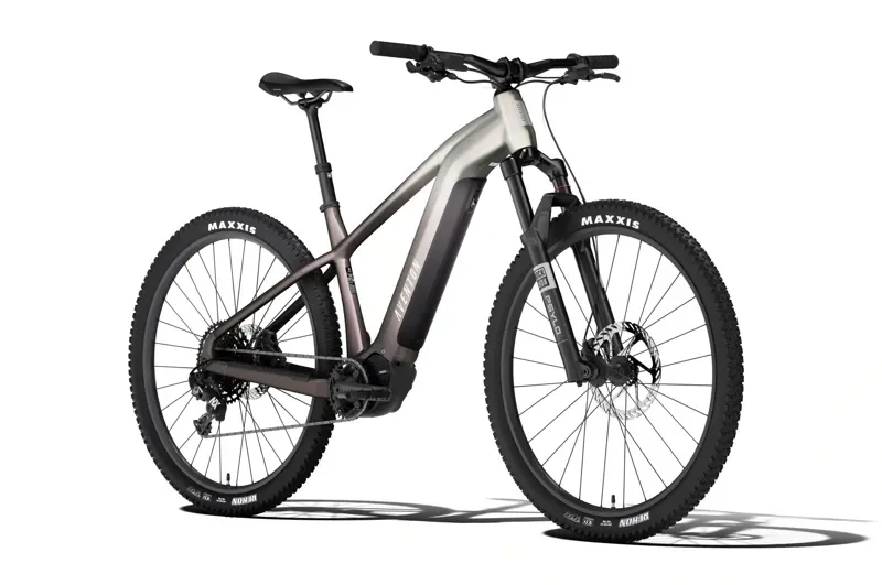 Aventon Ramblas ADV Tropos Large-1