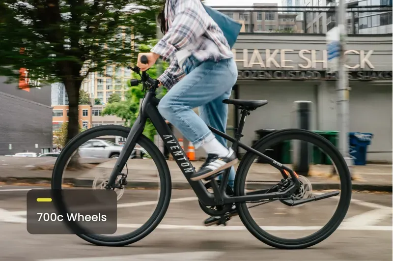 Soltera 3 ADV Ebike-3