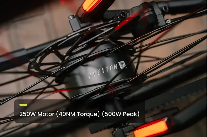 Soltera 3 ADV Ebike-6