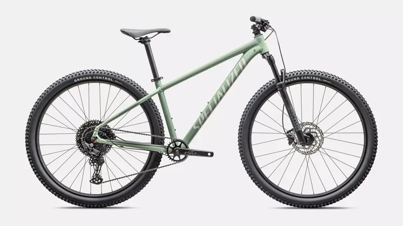 Specialized Rockhopper Comp Trail Bike in Pistachio/White Mountain
