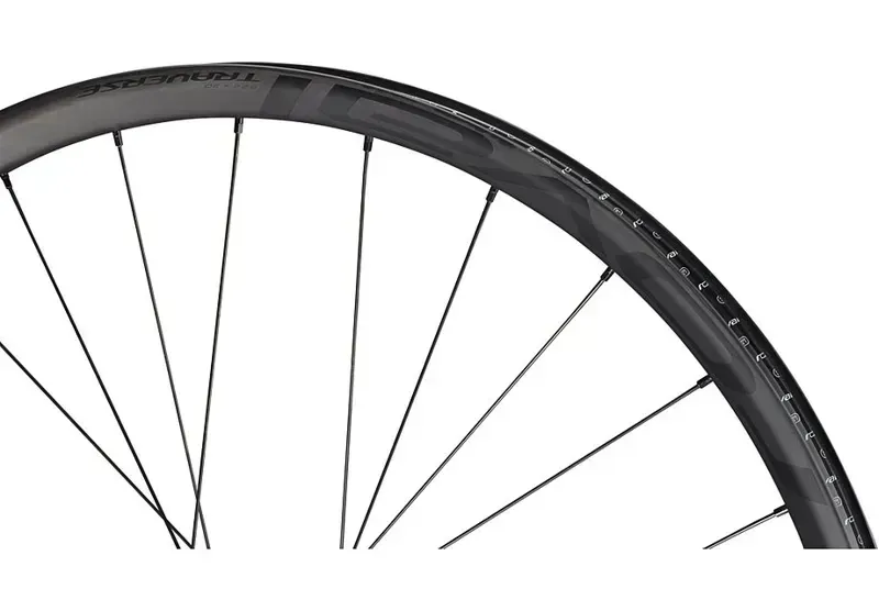 Specialized Roval Traverse HD 350 6B 29-inch Carbon Fr. Wheel in Black-2