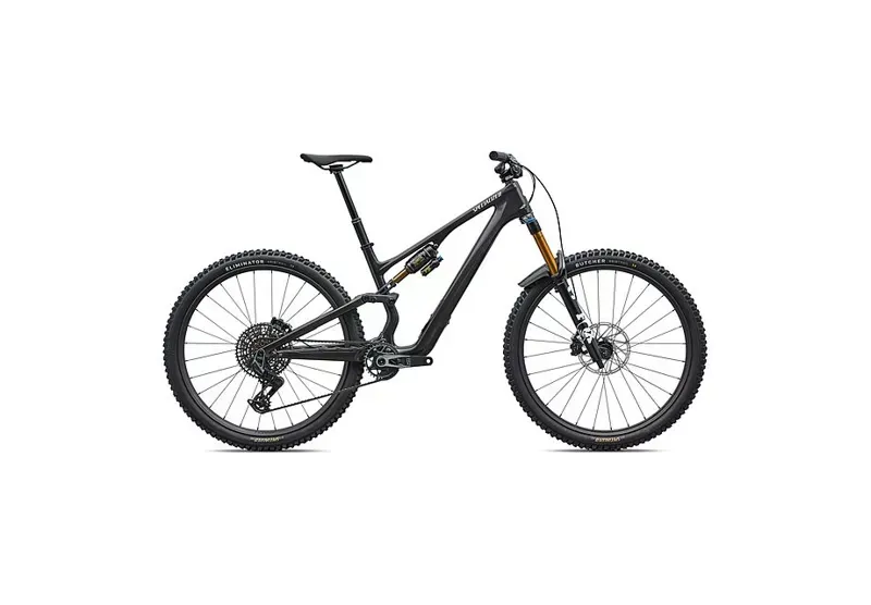 Specialized Stumpjumper 15 EVO Pro Mountain Bike in Carbon